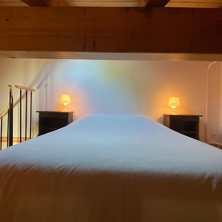 Le Xilotik - Peaceful Apartment In Espelette Eksteriør billede